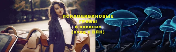 СК Елабуга