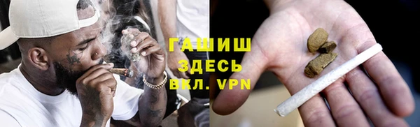 гидра Ельня