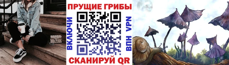 Галлюциногенные грибы Magic Shrooms  купить наркоту  Пущино 
